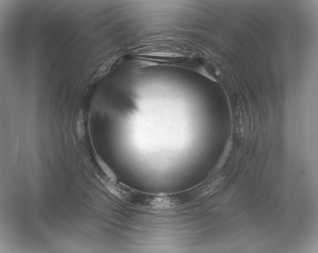 X0000053130562200507251752