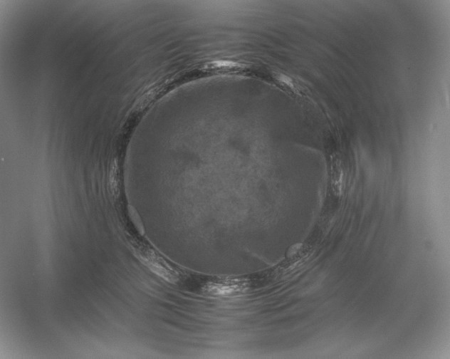 X0000053130563200507251752