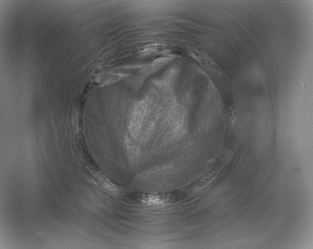 X0000053130565200507251752
