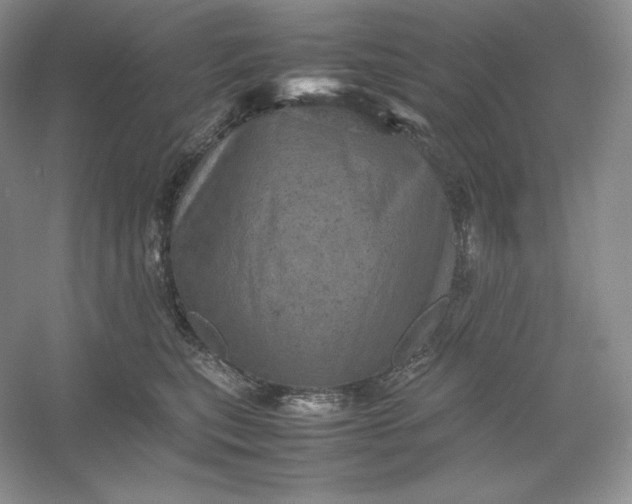 X0000053130567200507251752