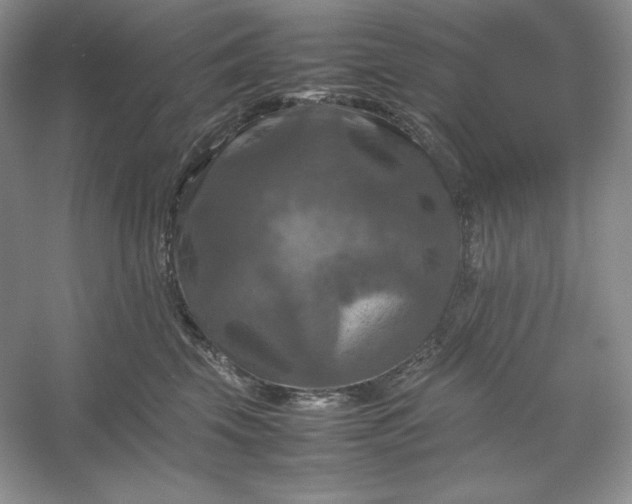 X0000053130569200507251752