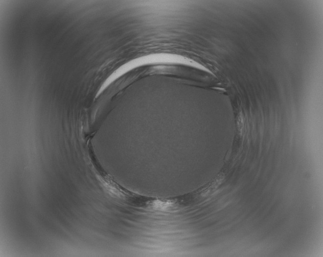 X0000053130570200507251752