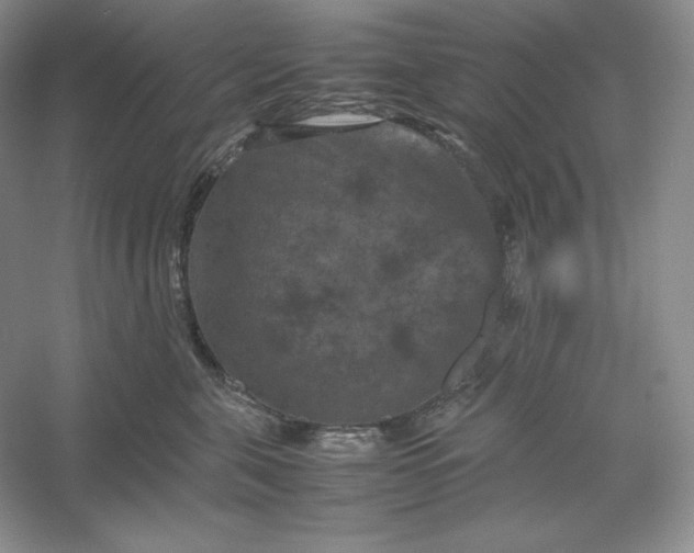 X0000053130571200507251752