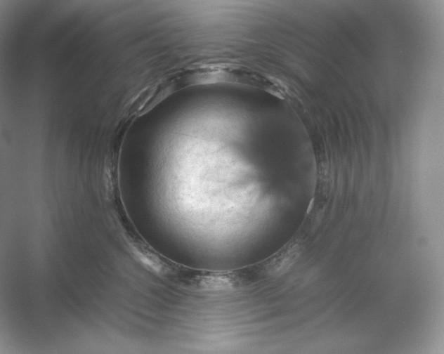 X0000053130572200507251752