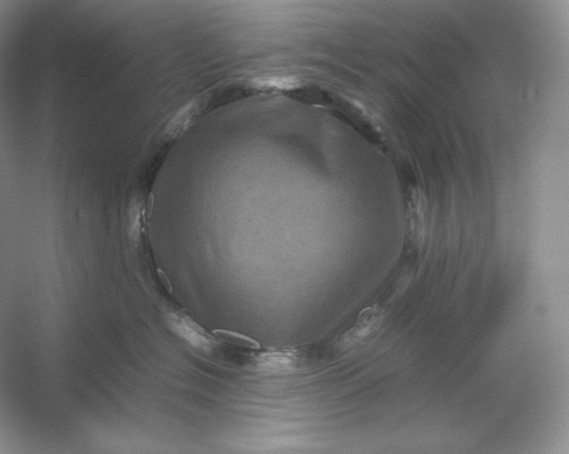 X0000053130574200507251752