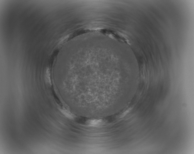 X0000053130575200507251752