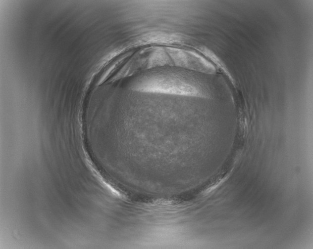 X0000053130581200507251751