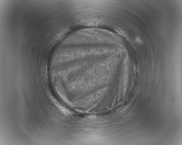 X0000053130589200507251751