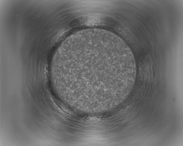 X0000053130592200507251751