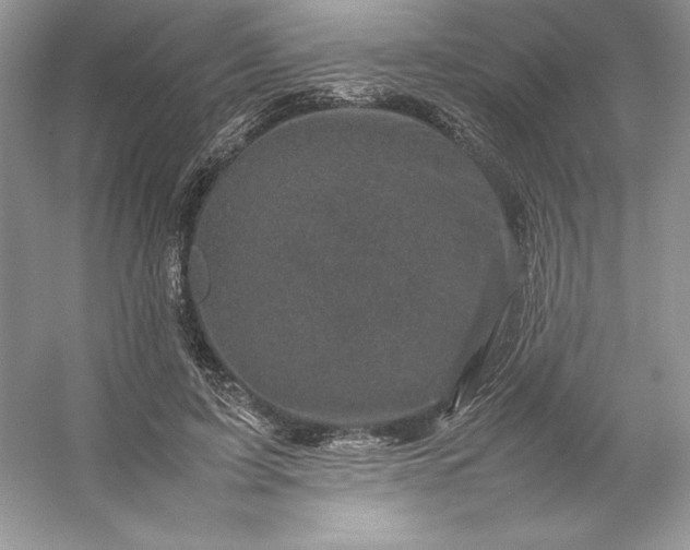 X0000053130595200507251751