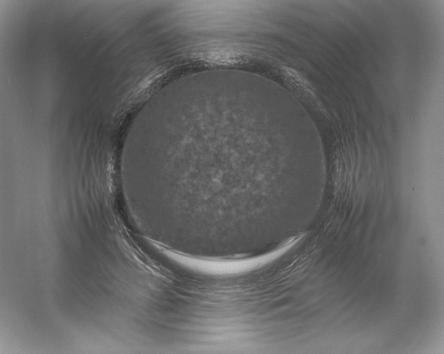 X0000053130596200507251751