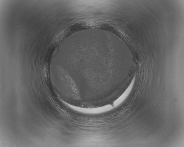X0000053130597200507251751