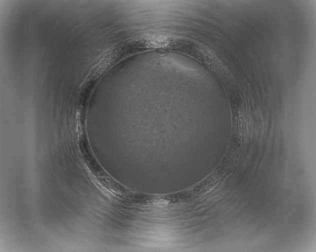 X0000053130598200507251751