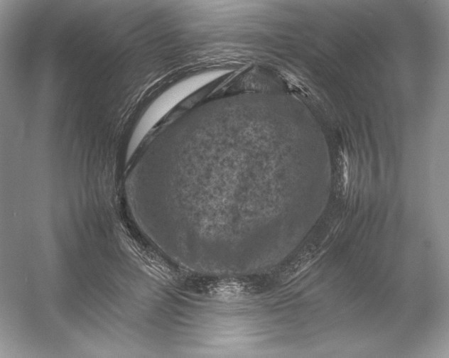 X0000053130600200507251751