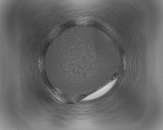 X0000053130601200507251751