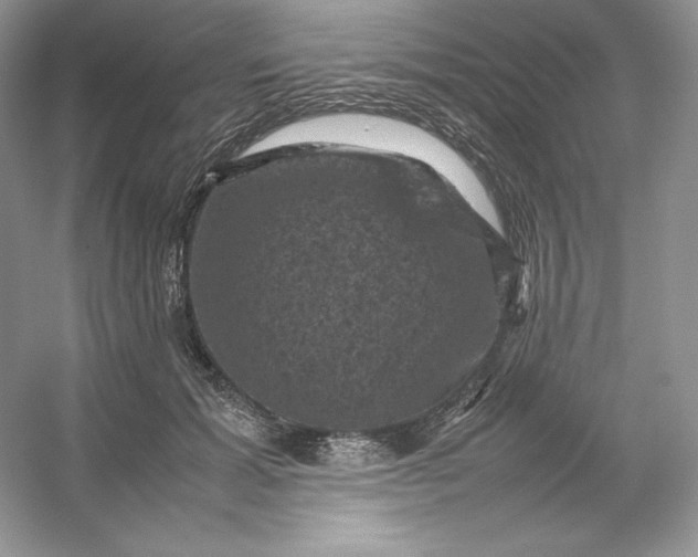 X0000053130605200507251751