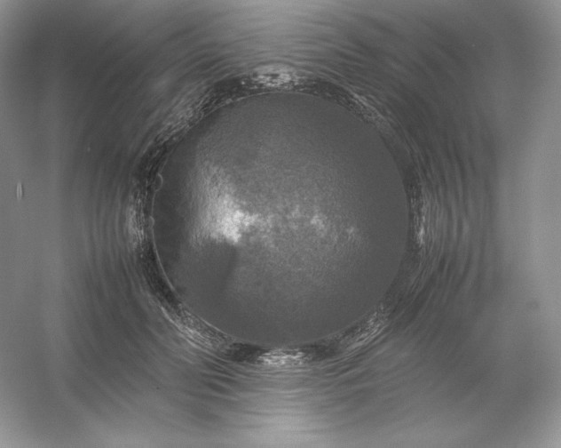 X0000053130606200507251751