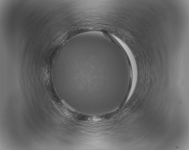 X0000053130607200507251751