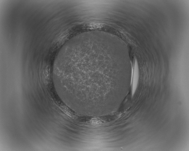 X0000053130608200507251751
