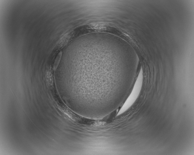 X0000053130609200507251751