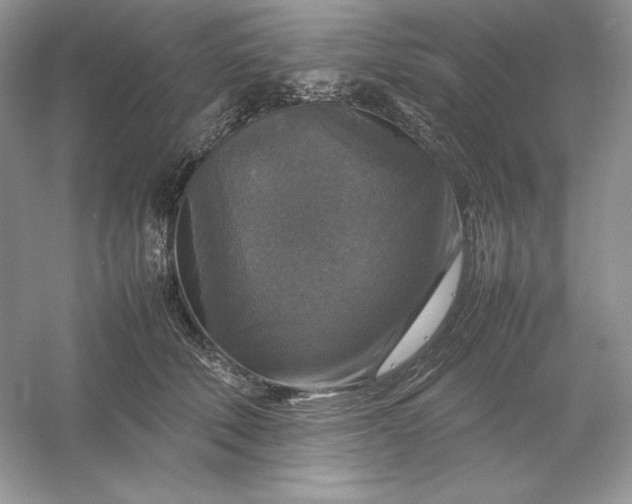 X0000053130610200507251751