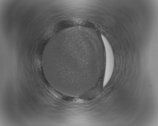 X0000053130613200507251751