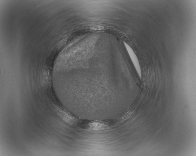 X0000053130614200507251751