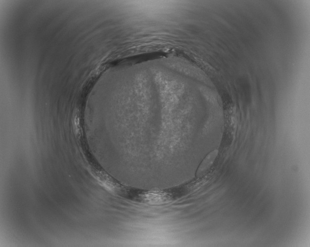 X0000053130615200507251751