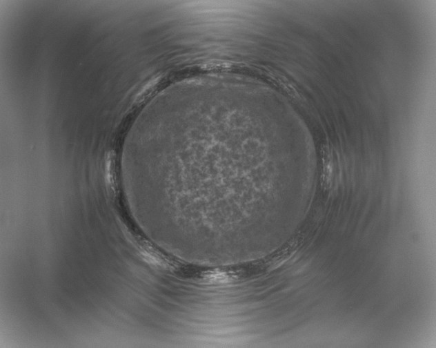 X0000053130616200507251751