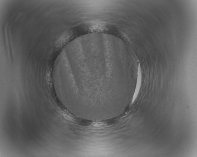 X0000053130619200507251751