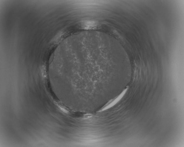 X0000053130620200507251751