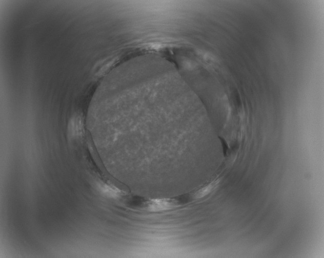 X0000053130623200507251751