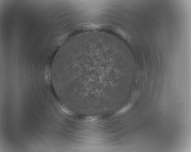 X0000053130624200507251751