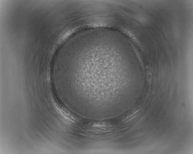 X0000053130631200507251750