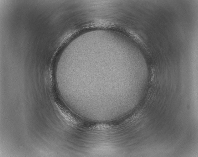 X0000053130636200507251750