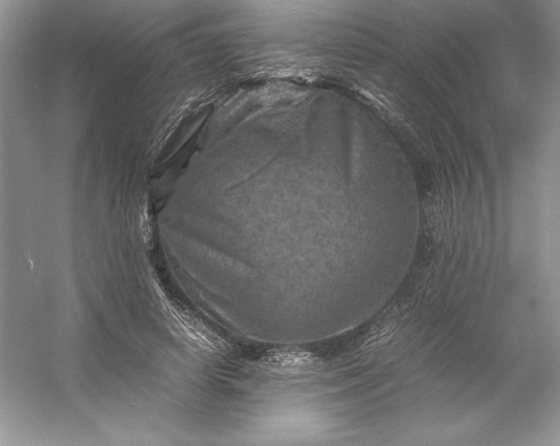 X0000053130642200507251750