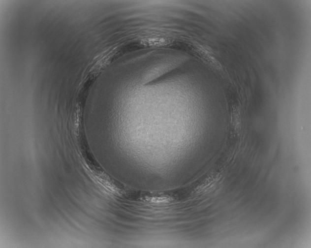 X0000053130645200507251750