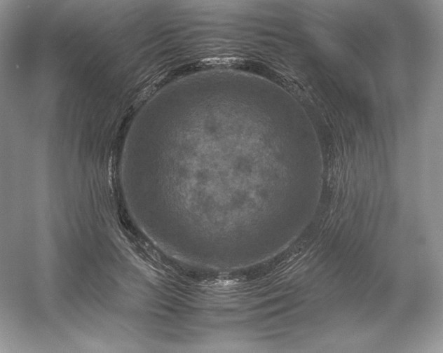X0000053130647200507251750