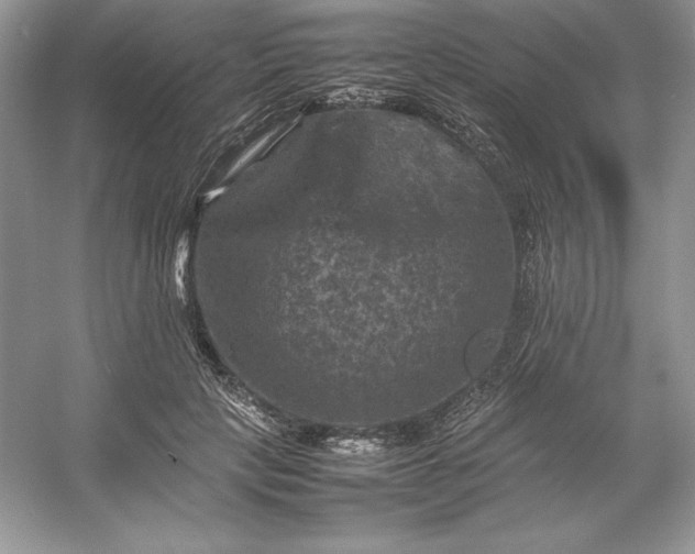 X0000053130649200507251750
