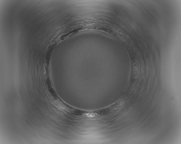 X0000053130654200507251750