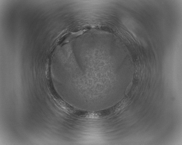 X0000053130656200507251750