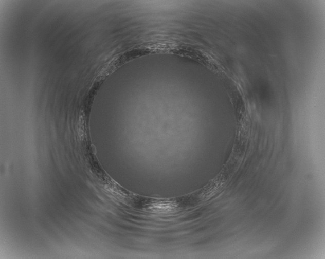 X0000053130659200507251750
