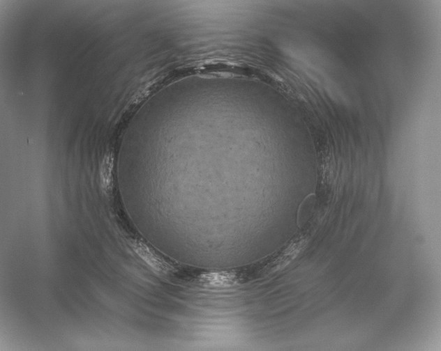 X0000053130660200507251751