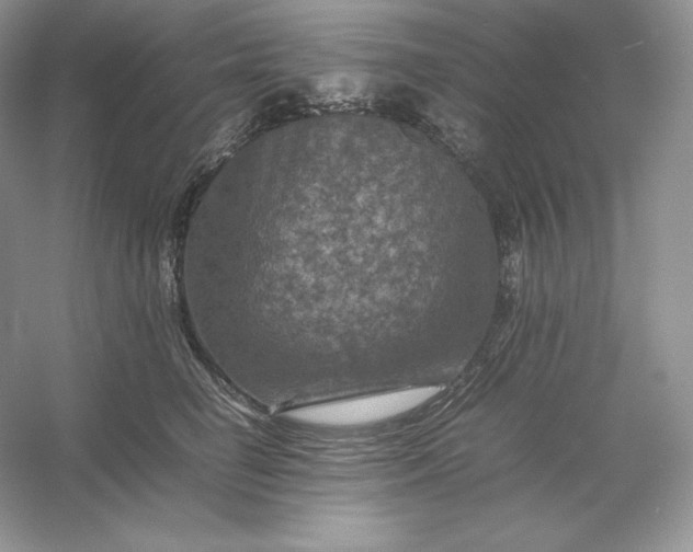X0000053130662200507251751