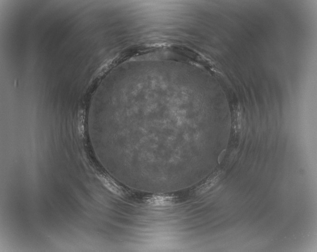 X0000053130664200507251751