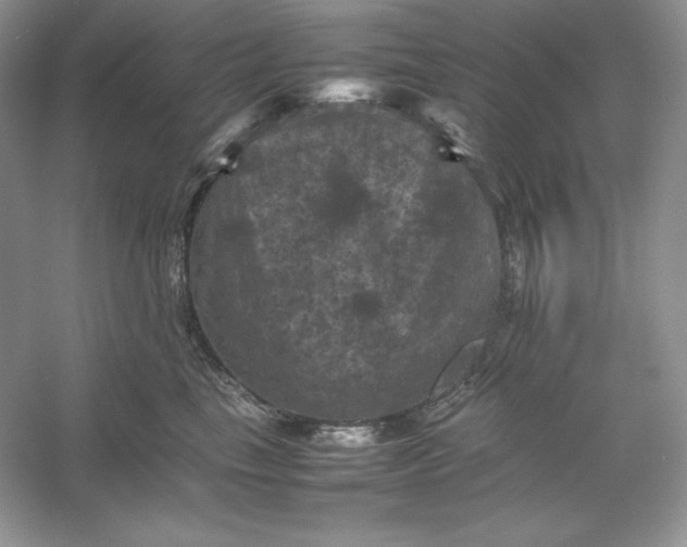 X0000053130665200507251751
