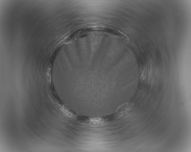 X0000053130666200507251751