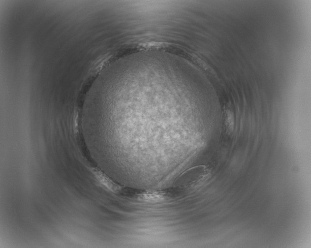 X0000053130668200507251751