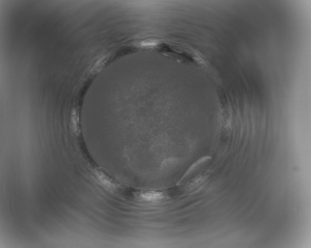 X0000053130669200507251751
