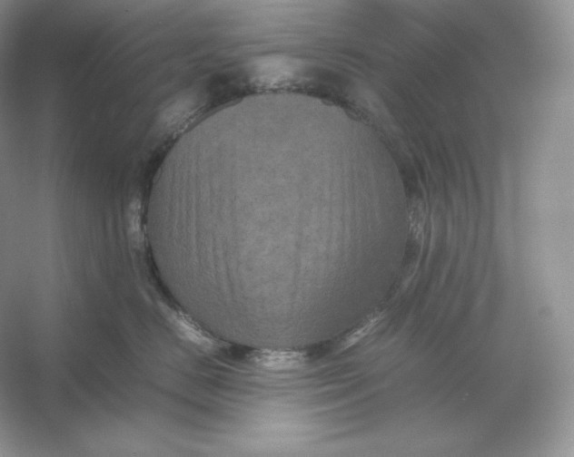 X0000053130670200507251751
